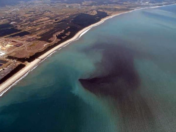 ¿Cómo lograr una merma en la contaminación causada por las papeleras?