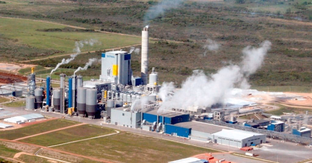 ¿Cuáles son los contaminantes más comunes en los panes con grano pasteurizado?
