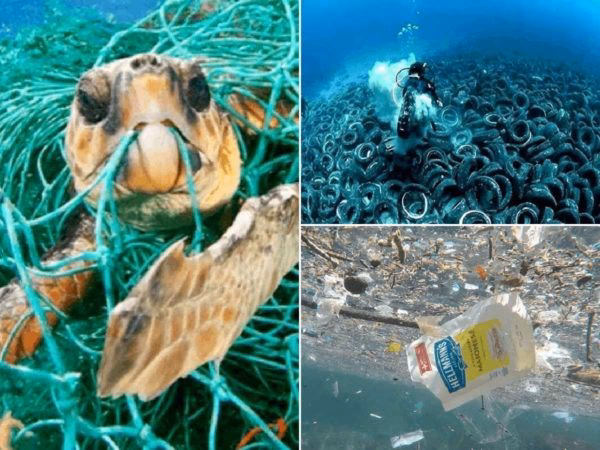 ¿Cuáles son los desechos que contaminan los mares?