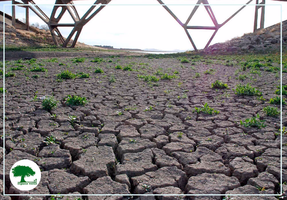 ¿Qué es la contaminación del suelo?