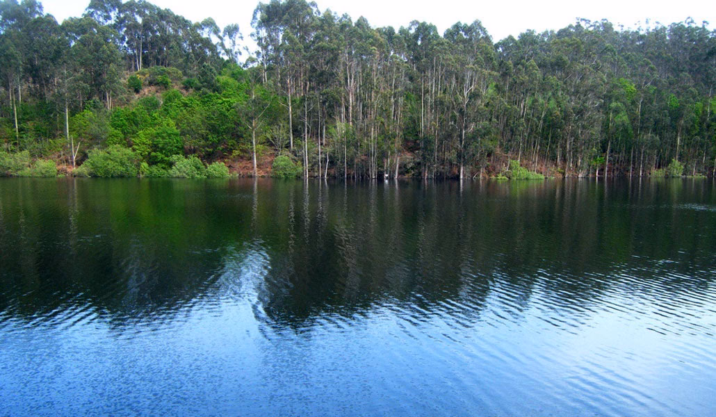 ¿Cuál es el cuerpo de agua más contaminado de Cartagena?