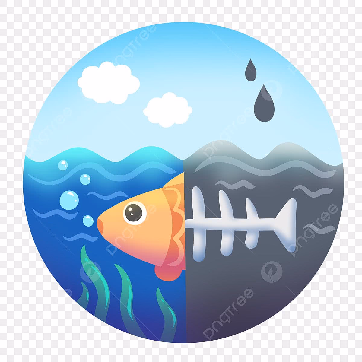 ¿Cuáles son los daños causados por falta de mantenimiento químico del agua?