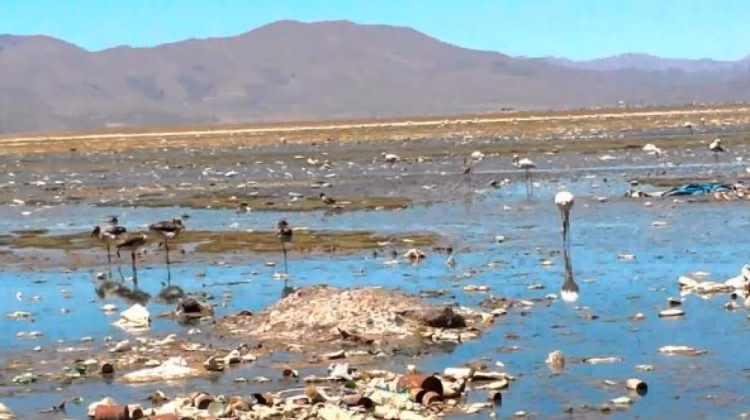 ¿Cuáles son las consecuencias de la contaminación ambiental del río Desaguadero?