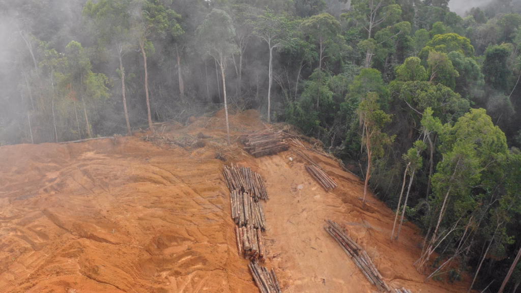 ¿Qué es la contaminación causada por los seres humanos?