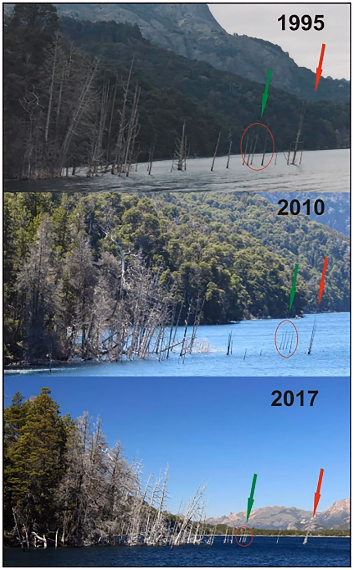 ¿Cómo se accede al lago Traful?