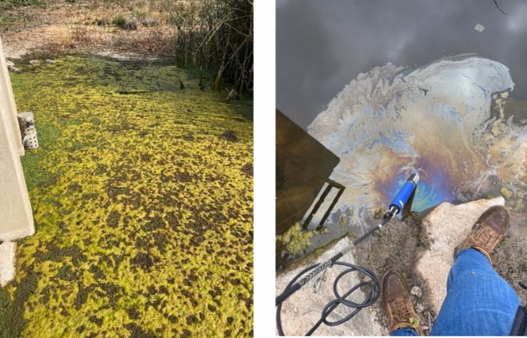 ¿Dónde se encuentran los ecosistemas acuáticos dependientes de las aguas subterráneas?