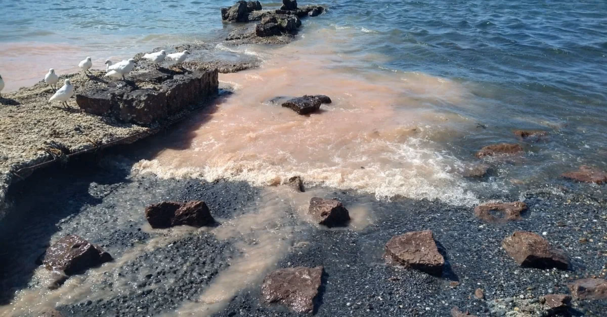 ¿Cómo afecta la contaminación del agua a Bahía Blanca?