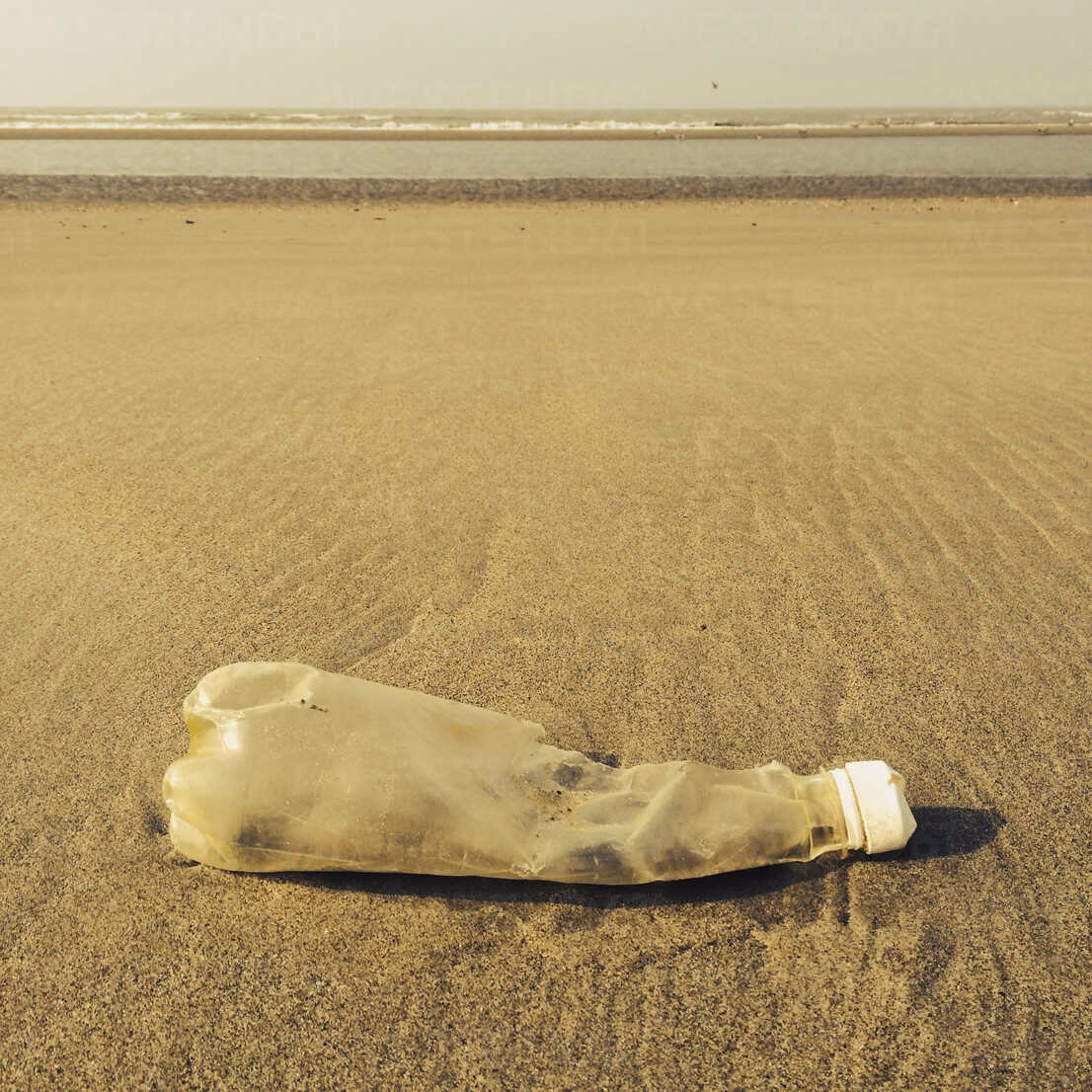 ¿Cómo está el medio ambiente en Bélgica?