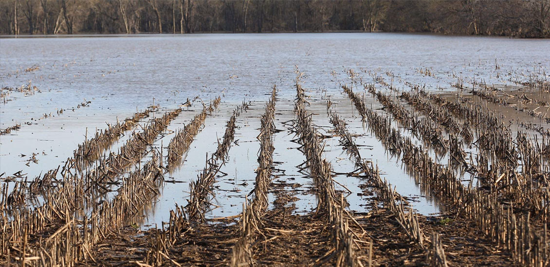 ¿Cómo afecta el inapropiado manejo de los suelos a la contaminación?