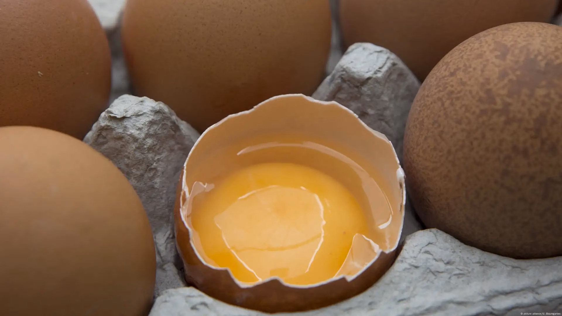 ¿Cómo se contaminan los huevos?