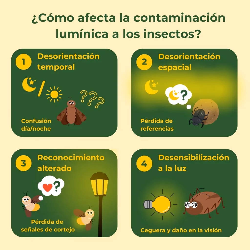 ¿Cómo afecta la contaminación ambiental a los insectos?