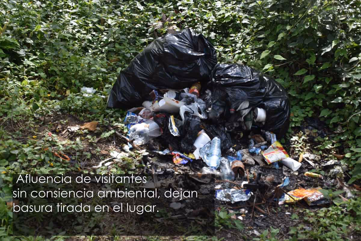 ¿Qué pasó con el paisaje protegido en Laguna Brava?