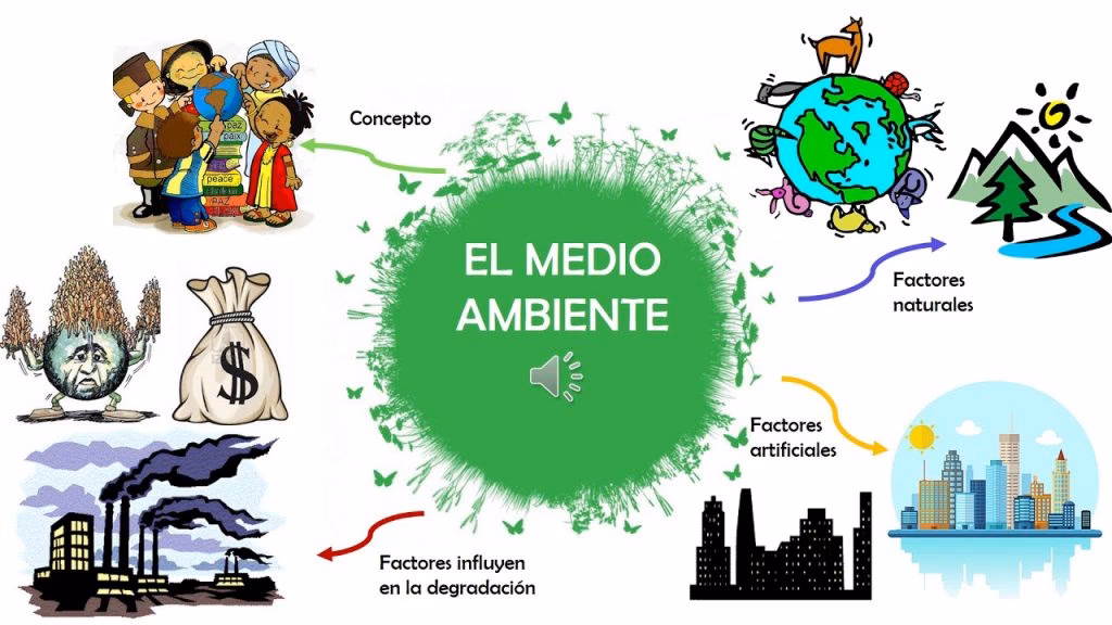 ¿Qué es el mapa mental de la contaminación?