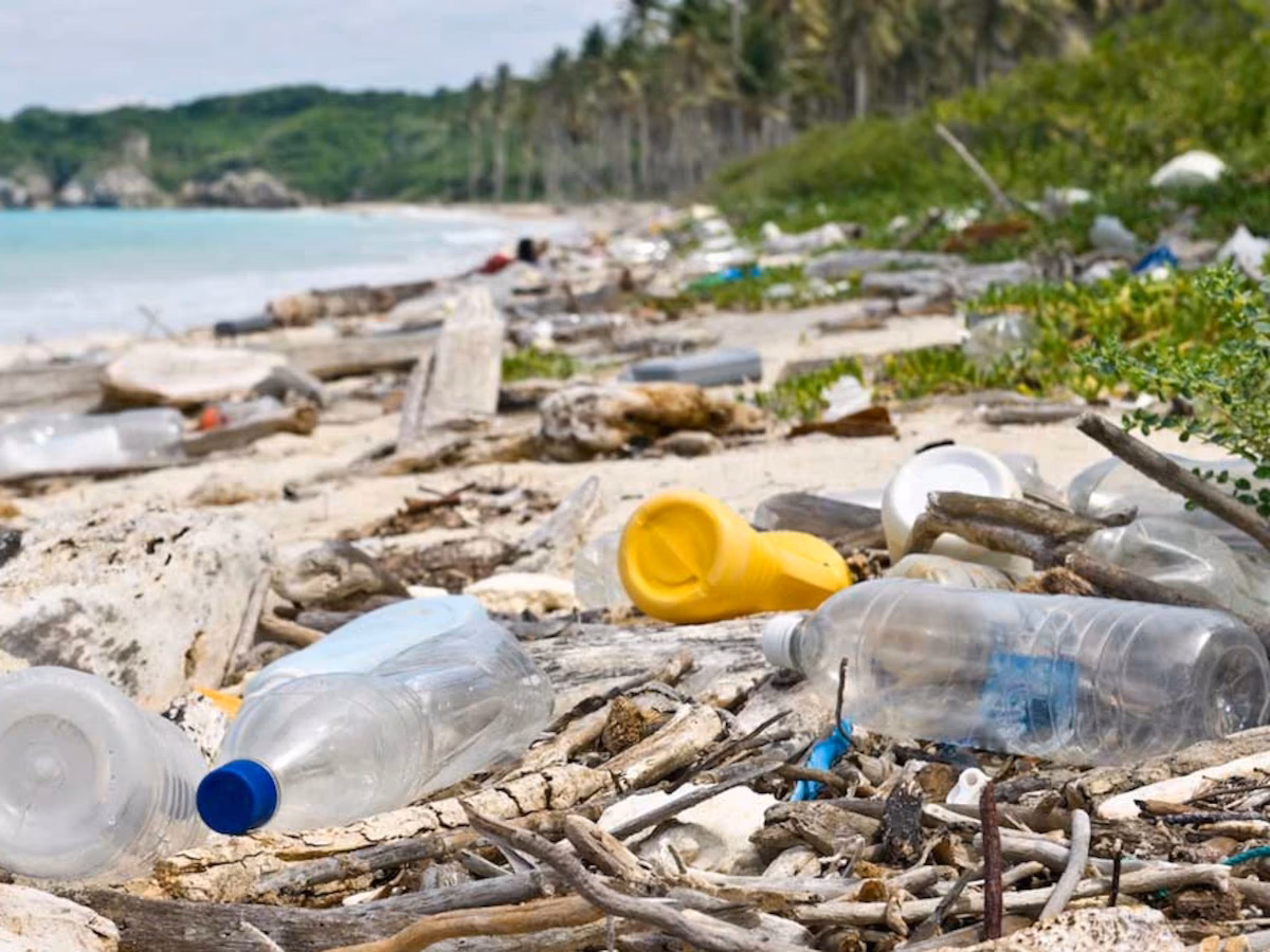 ¿Cuáles son los críticos a la memética?