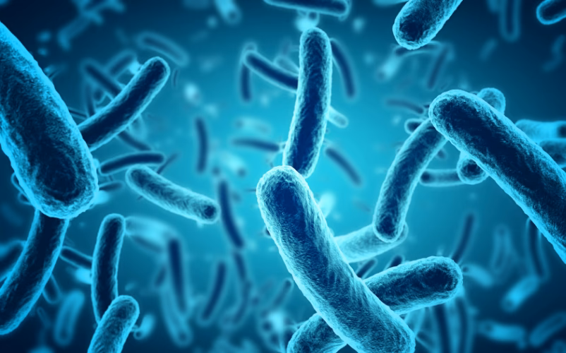 ¿Qué es el ensayo de endotoxinas bacterianas?