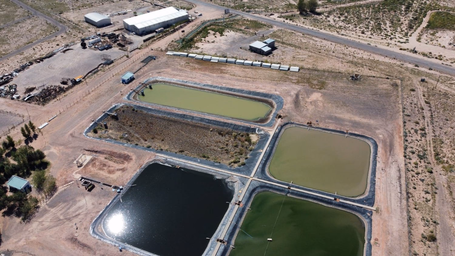 ¿Cómo podría reducir la contaminación a base de petróleo?