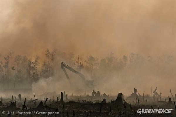 ¿Cuál es el éxito de P&G?