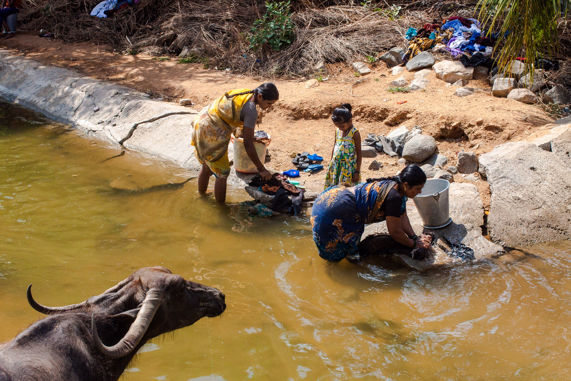 ¿Cuál es la toxicidad del arsénico?