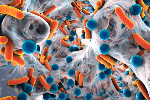 ¿Cuáles son las causas de la contaminación bacteriana?