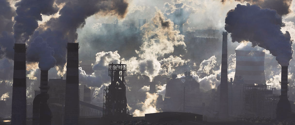 ¿Cuáles son los alimentos con mayor contribución de HAPs?