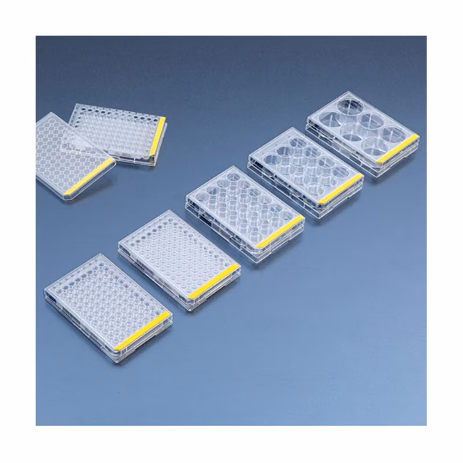 ¿Cómo afecta el TPP a los pueblos indígenas?