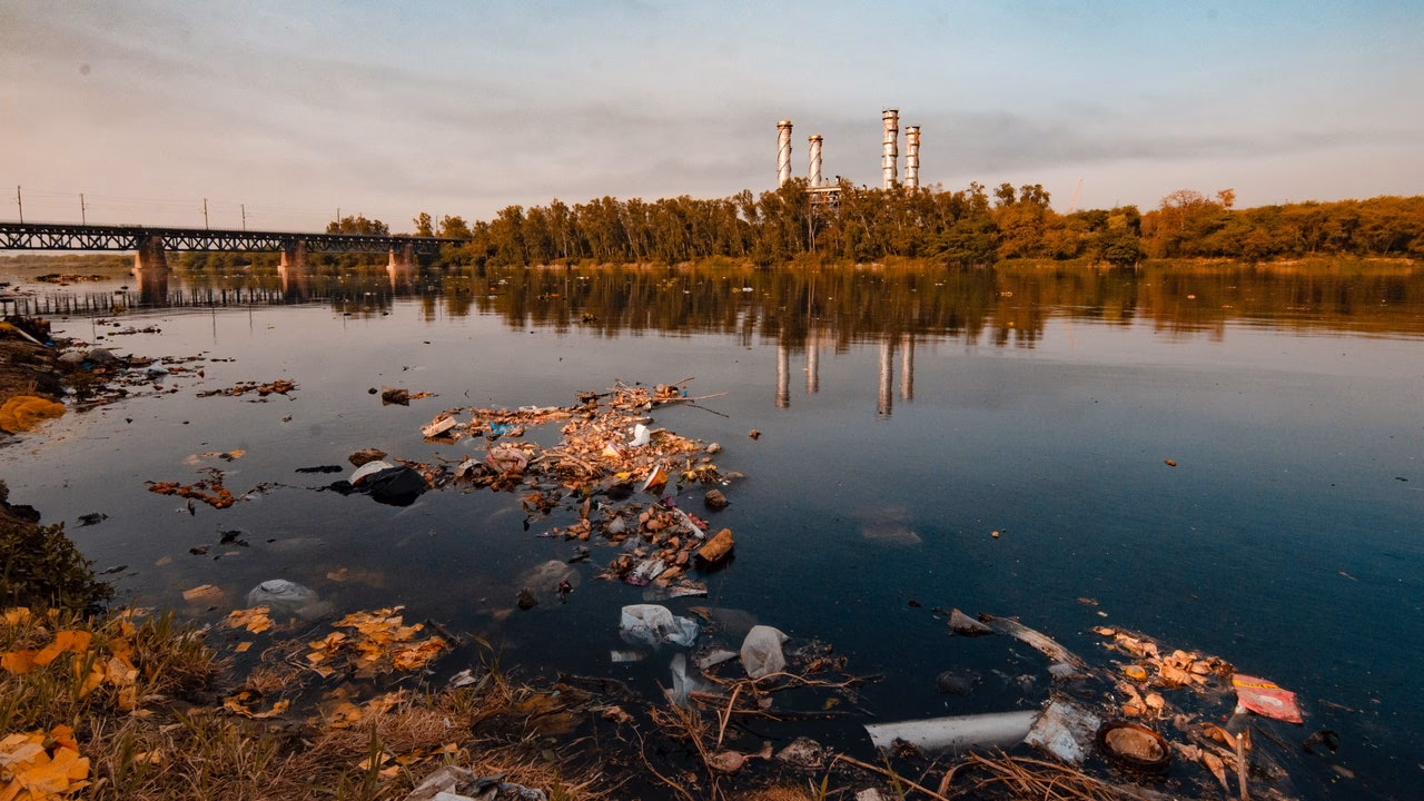 ¿Cuáles son las consecuencias de los fármacos en el agua de los ríos?