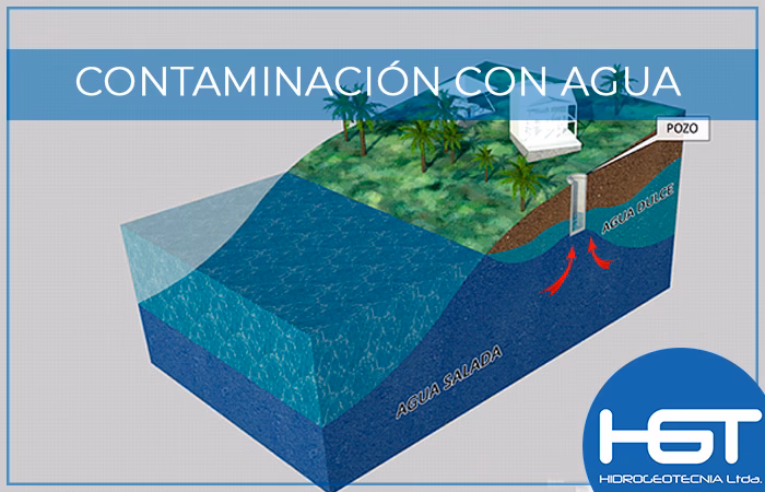 ¿Cuáles son los efectos de la salinización en los ecosistemas de agua dulce?