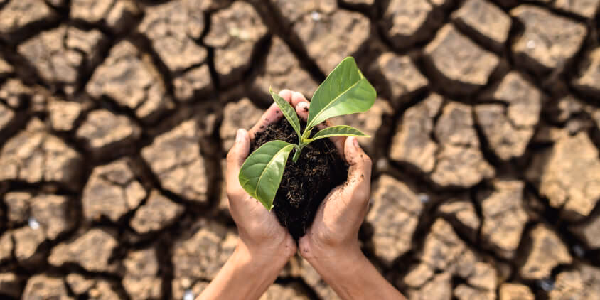 ¿Cómo evitar la degradación del suelo?