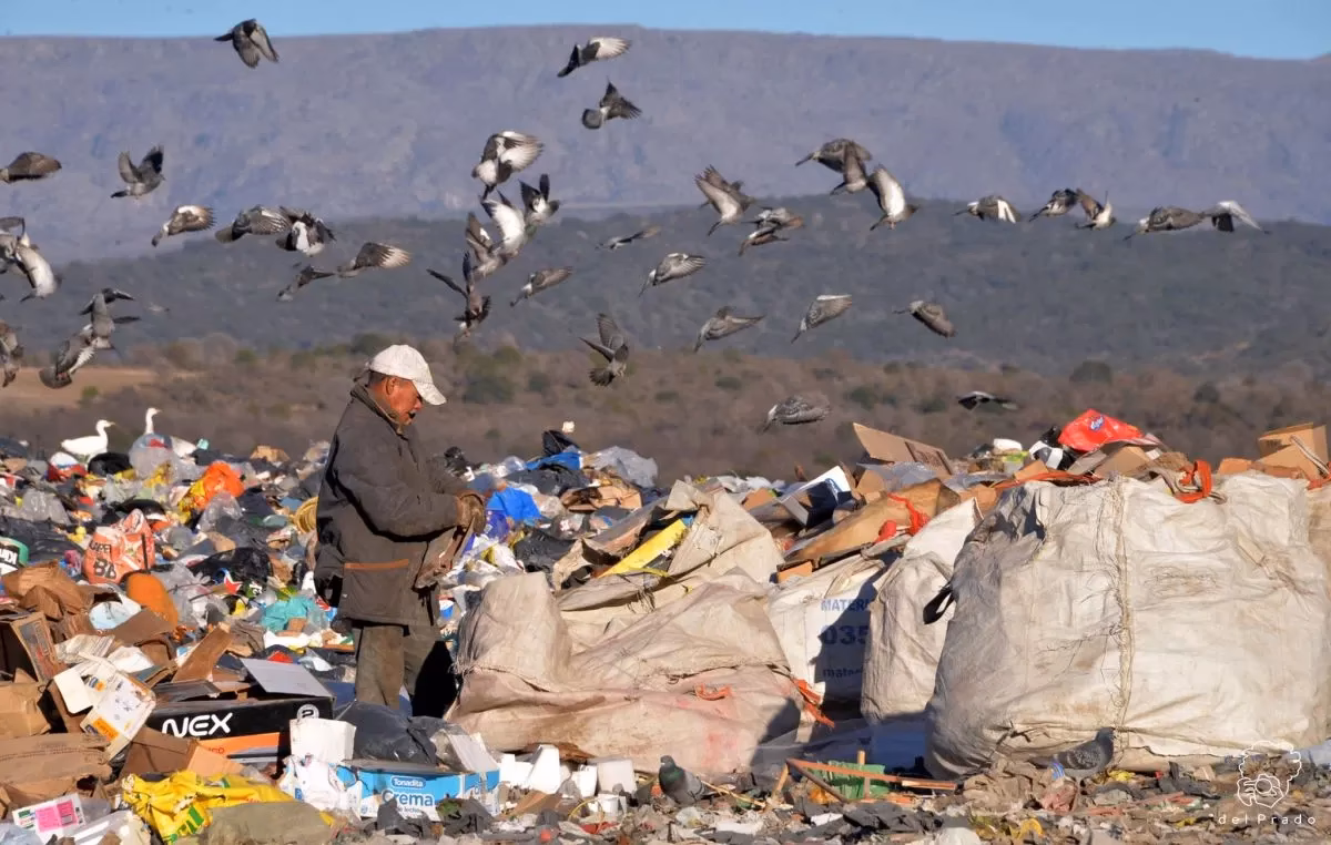 ¿Cuáles son los casos más probables de contaminación química con medicamentos veterinarios?