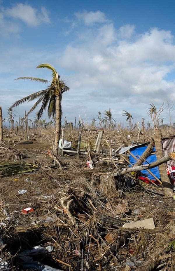 ¿Cómo entienden las poblaciones migrantes el peligro ambiental?
