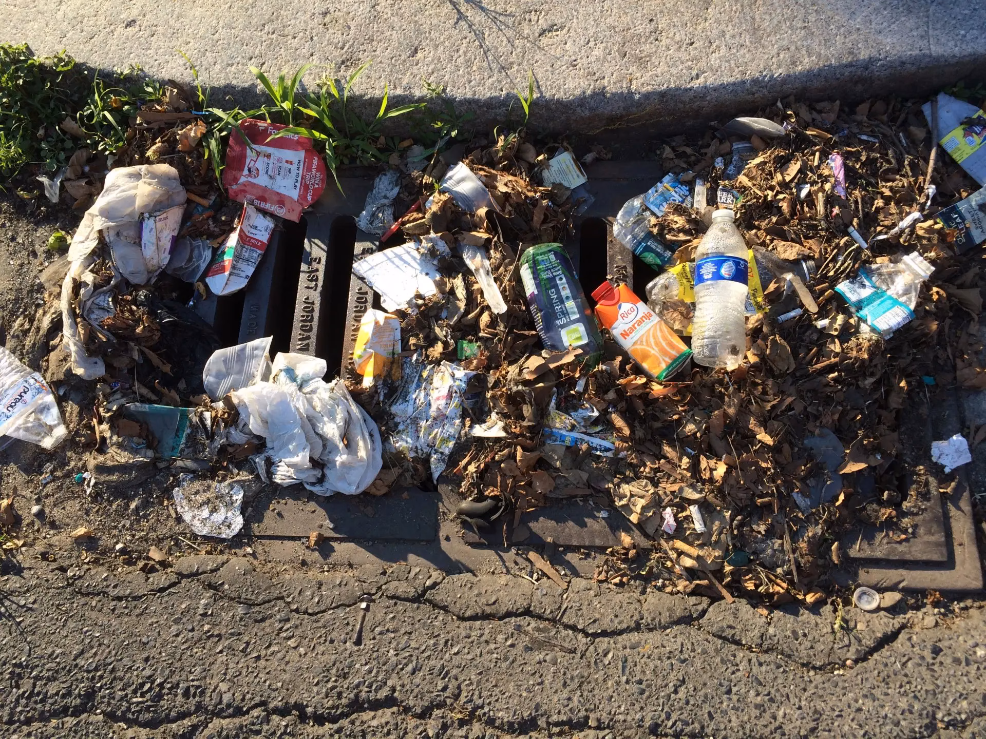 ¿Cuáles son los efectos inmediatos de la inundación?