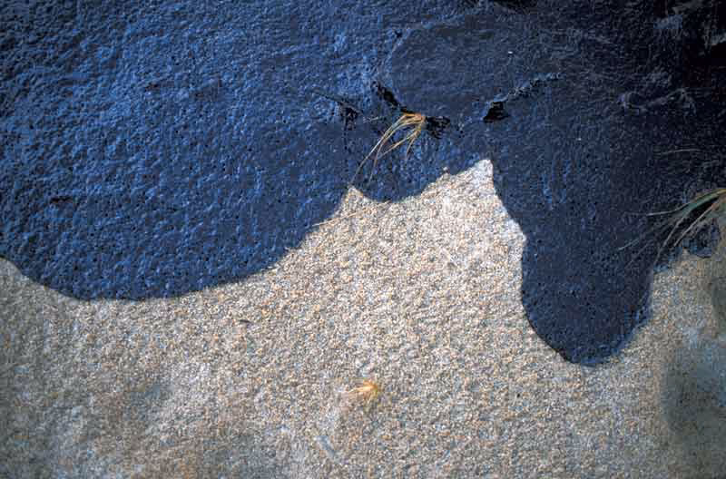 ¿Cuál es el significado de contaminado?