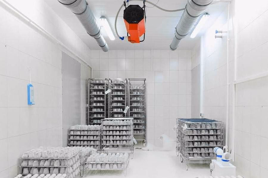 ¿Cómo desinfectar cámaras frigoríficas?