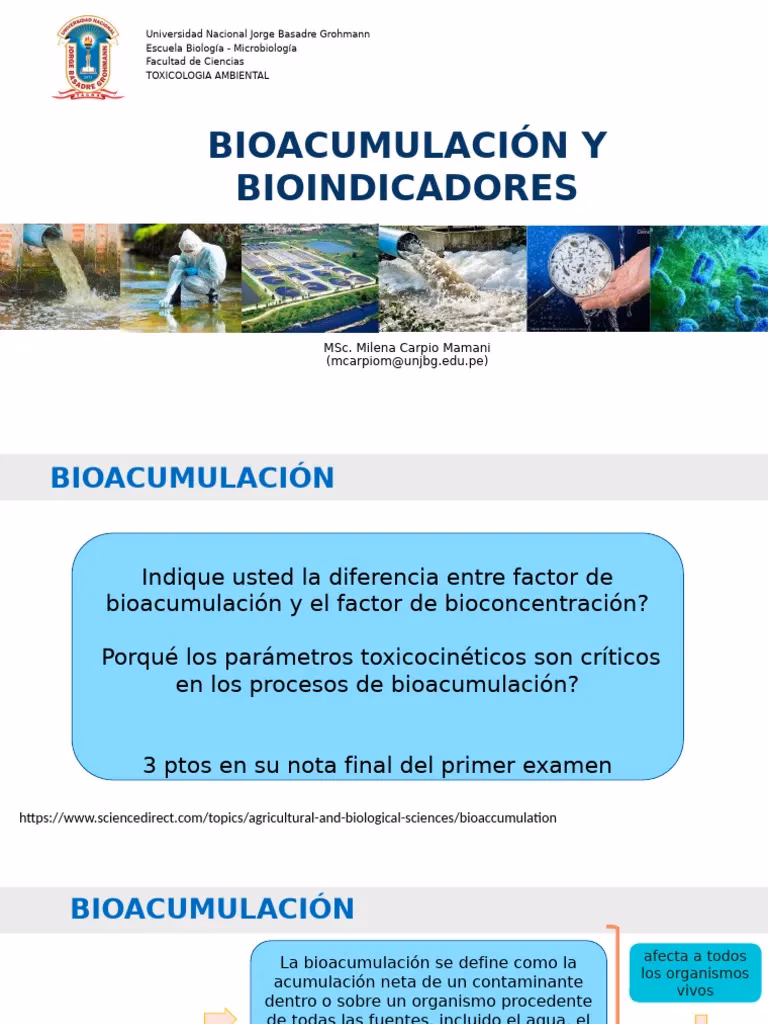 ¿Qué es la bioacumulación?