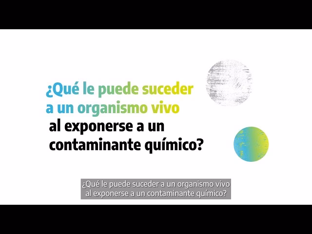 ¿Qué tipo de sustancias suelen acumularse en la bioacumulación?