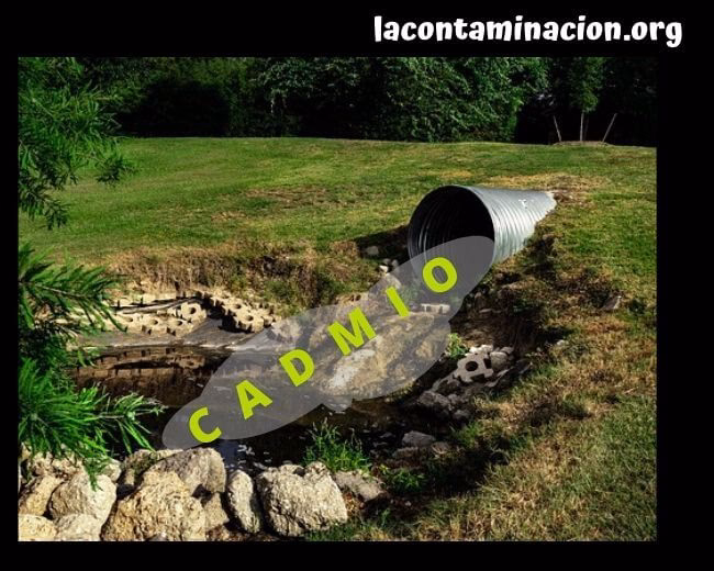 ¿Cómo se manifiesta la toxicidad del cadmio?