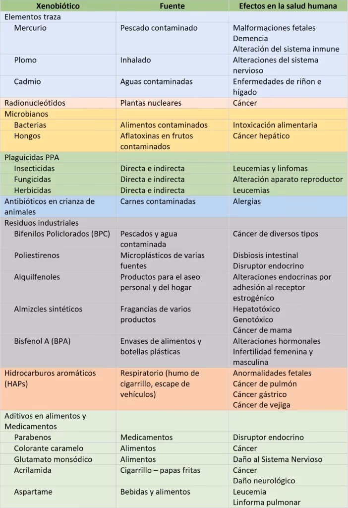 ¿Cuáles son las fuentes de xenobióticos más abundantes?