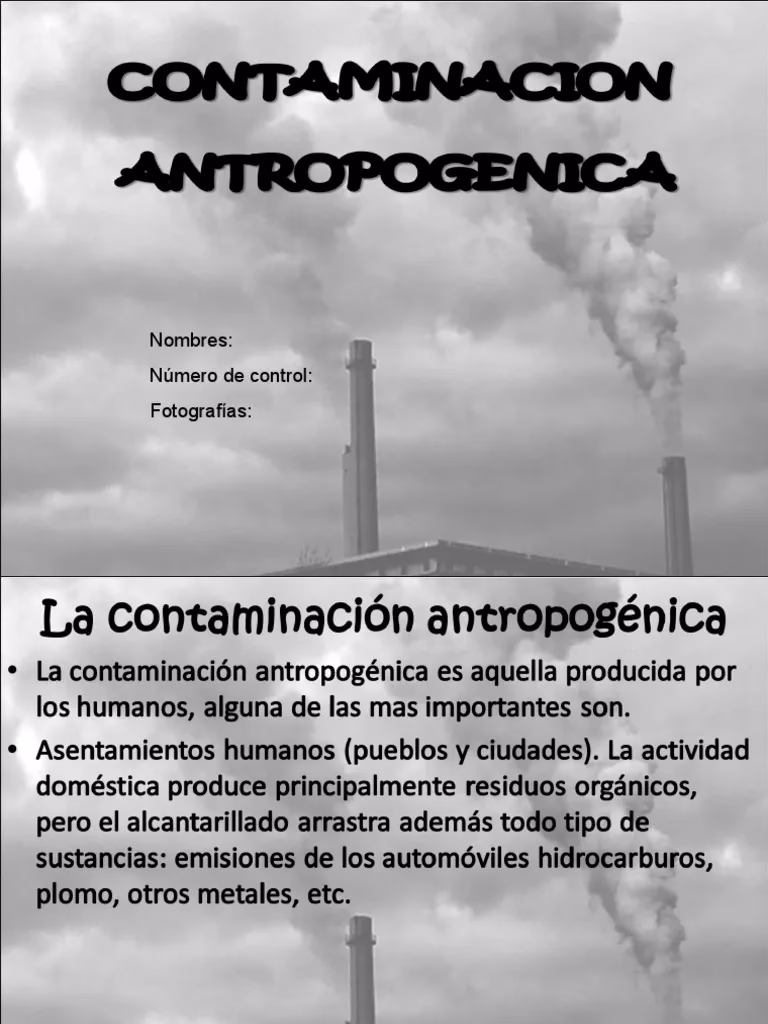 ¿Qué nos permite el estudio del antropogénico?