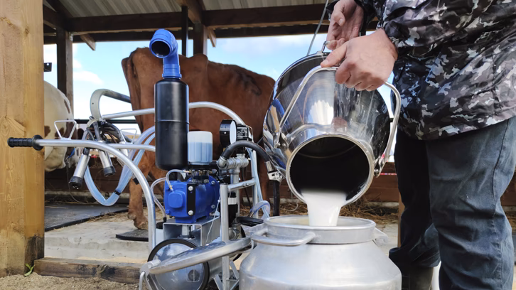 ¿Qué factores influyen en la contaminación durante la cadena productiva Láctea?