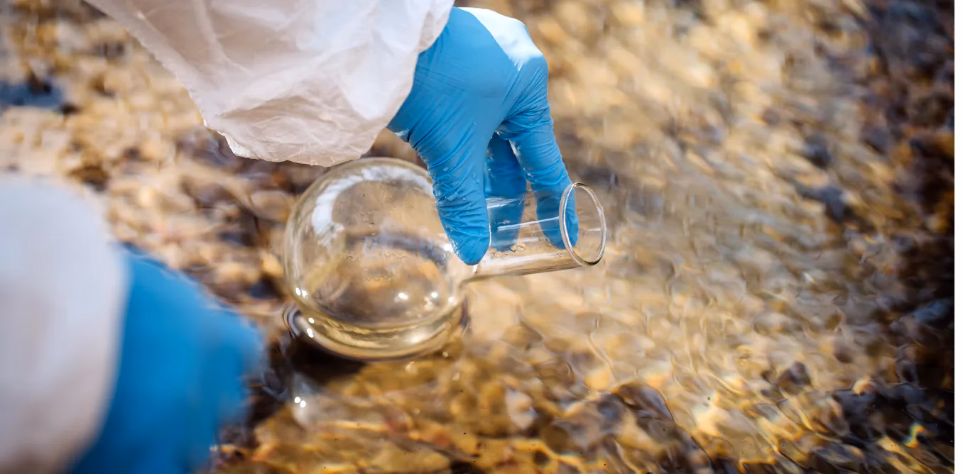 ¿Qué es la genotoxicidad?