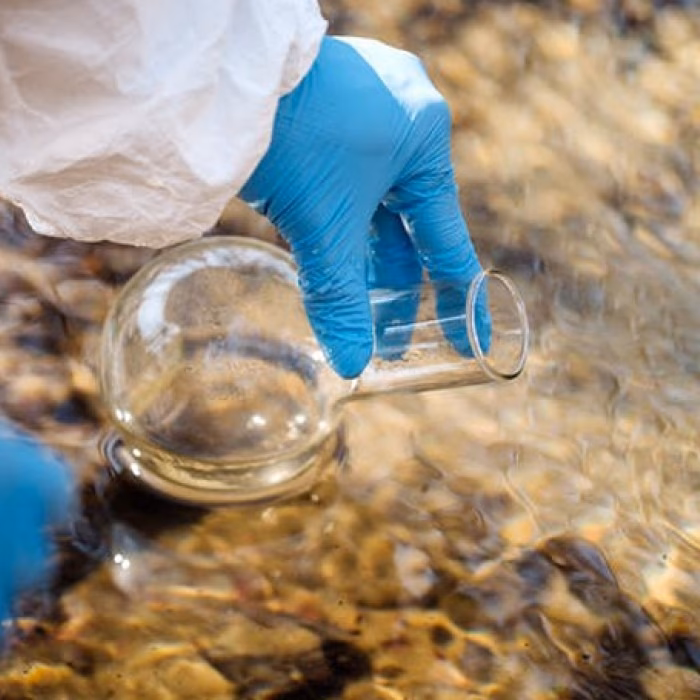 ¿Qué es la genotoxicidad?