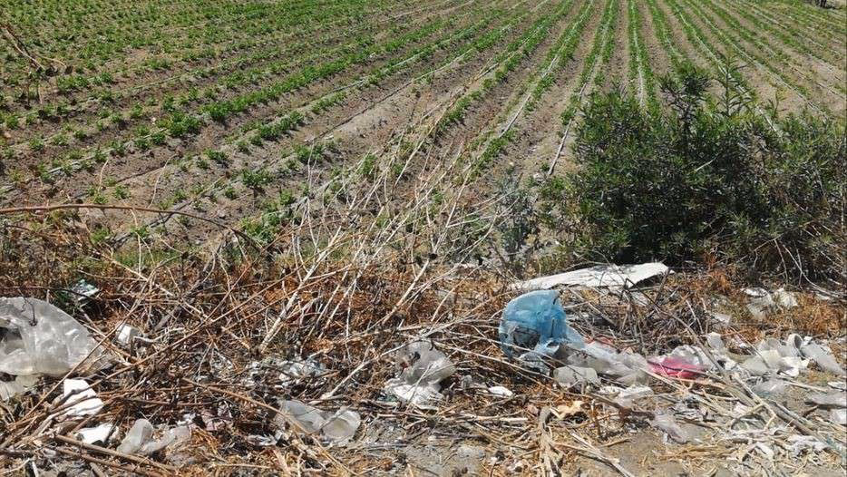 ¿Cuáles son los primeros contaminantes del suelo?