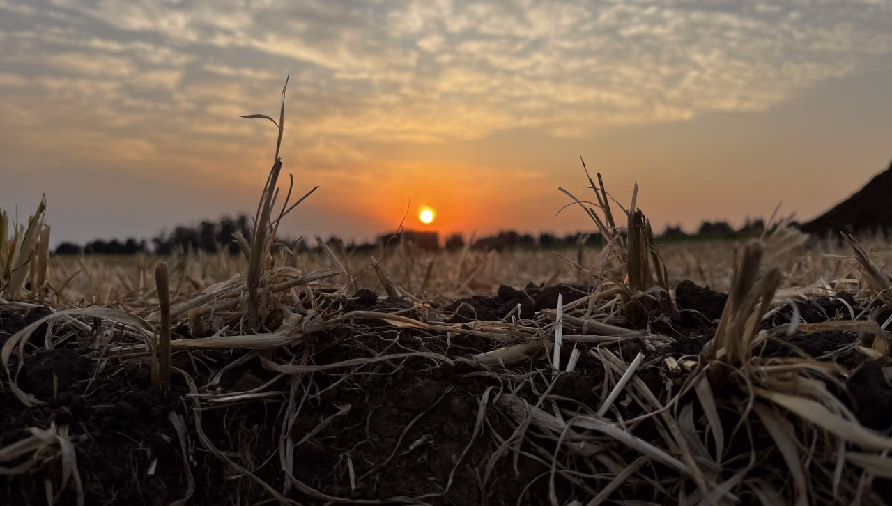 ¿Cuáles son los problemas de contaminación en el sur argentino?