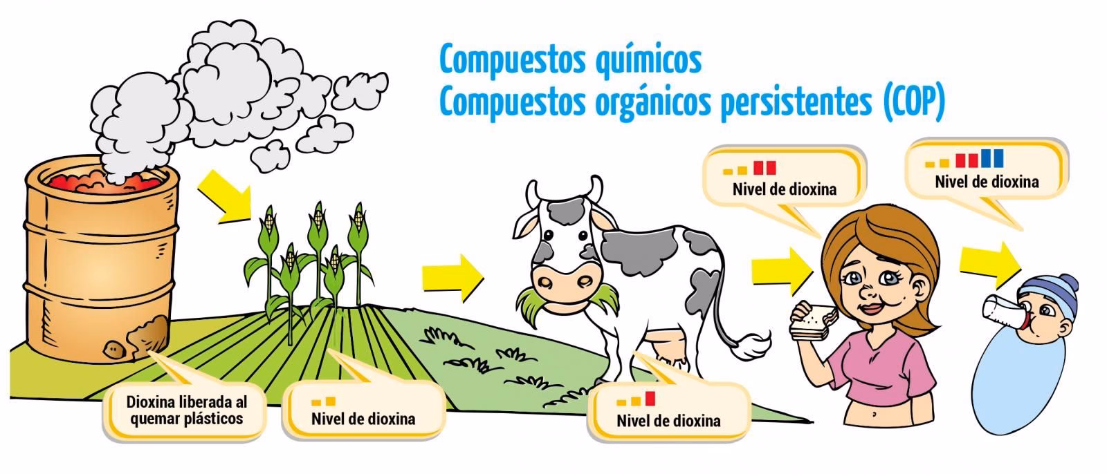 ¿Cuáles son los efectos de los contaminantes orgánicos?