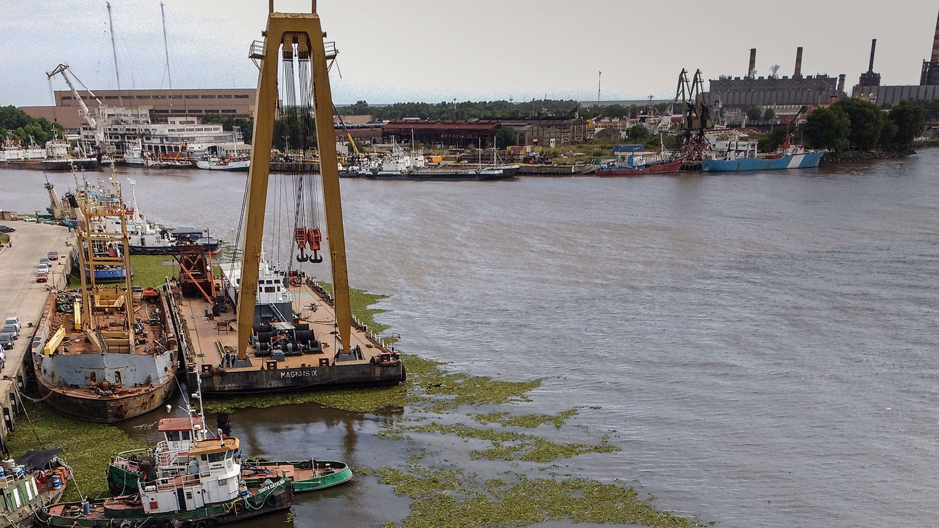 ¿Cómo prevenir la acumulación de basura y contaminación?
