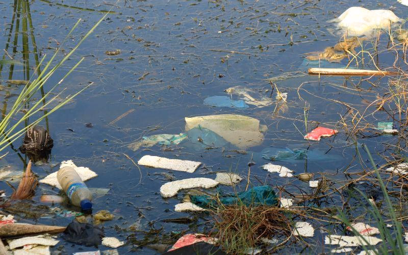 ¿Qué tipo de contaminación tiene el río Ajolotes?