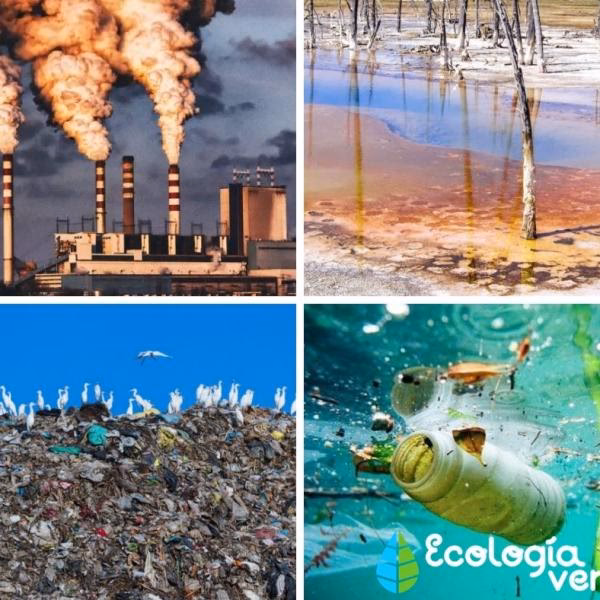 ¿Cuáles son los principales contaminantes?