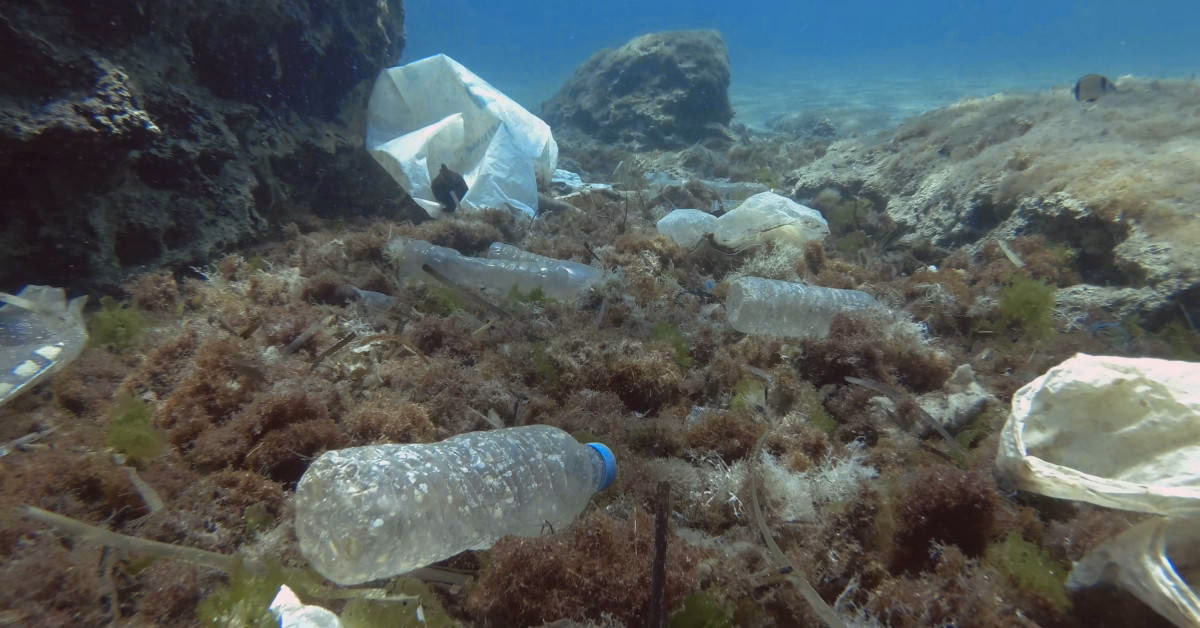 Which waters are most impacted by ocean pollution?