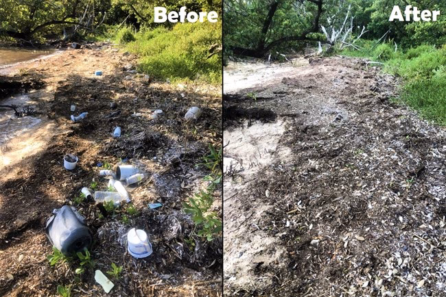 What causes viral contamination of the environment?