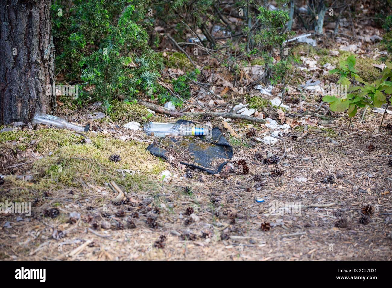 Why is plastic pollution a problem in forest soils?